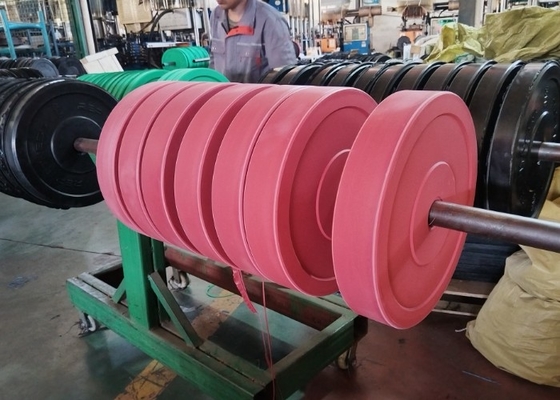 Piastre di peso da 5 kg a 20 kg opzionali per forza e resistenza